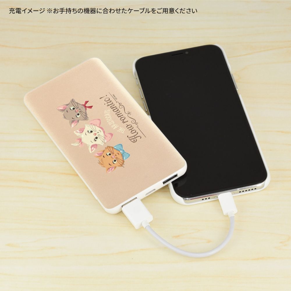 マリー＆ベルリオーズ＆トゥルーズ USB/USB Type-C 4000mAh リチウムイオンポリマー充電器 2.1A DNG-133A