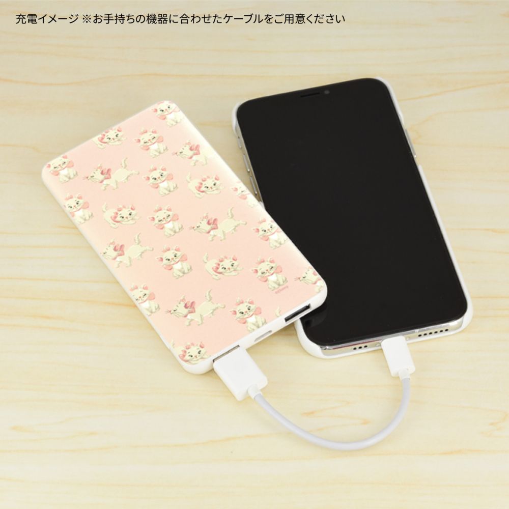 マリー パウダーピンク USB/USB Type-C 4000mAh リチウムイオンポリマー充電器 2.1A DNG-133B