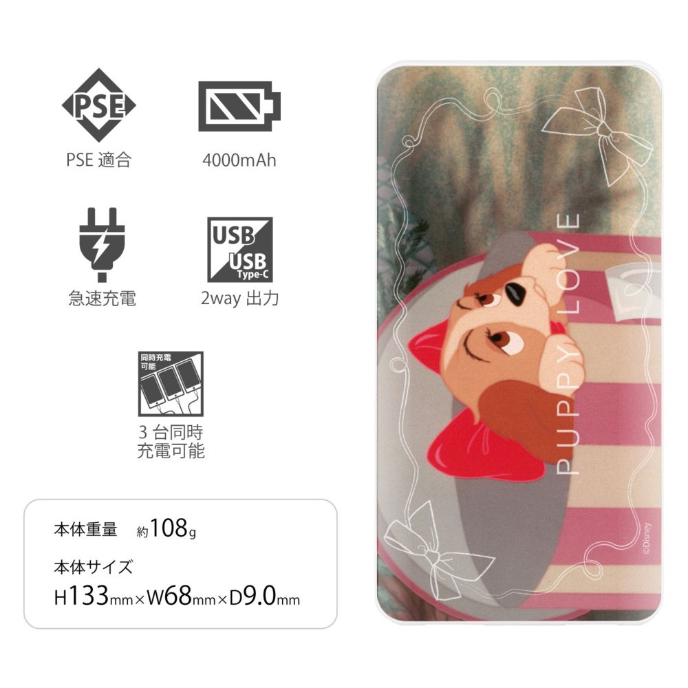 リトルレディ USB / USB Type-C 4000mAh リチウムイオンポリマー 充電器 2.1A DNG-167C