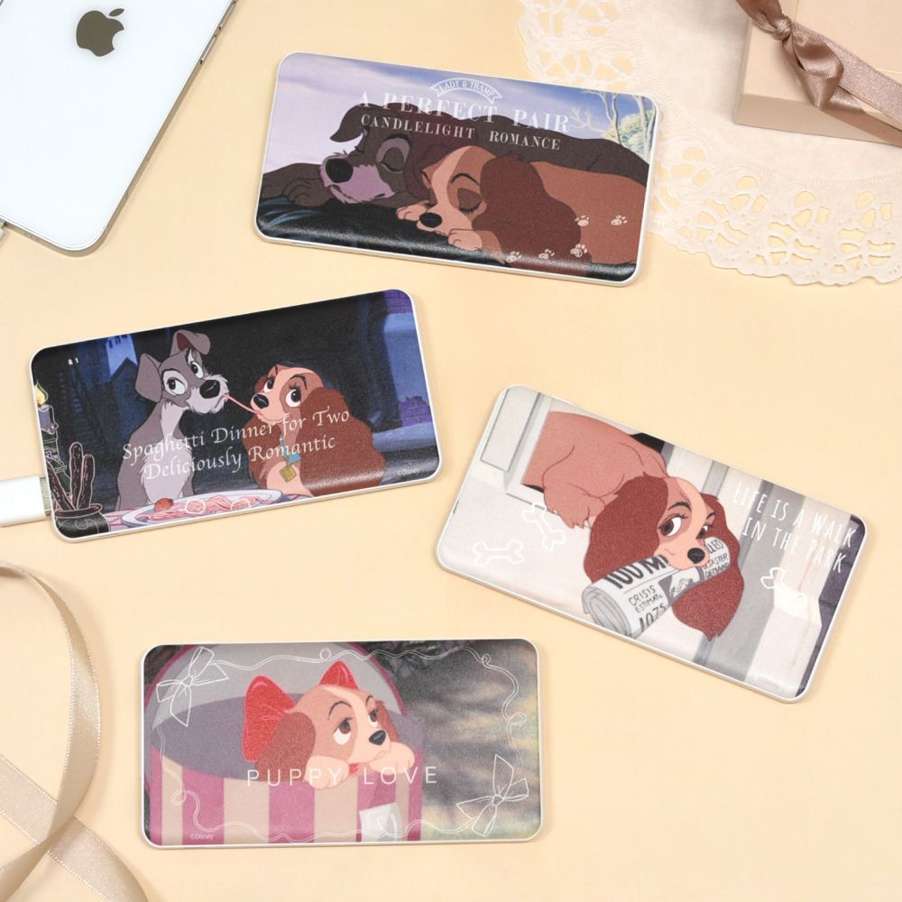 リトルレディ USB / USB Type-C 4000mAh リチウムイオンポリマー 充電器 2.1A DNG-167C