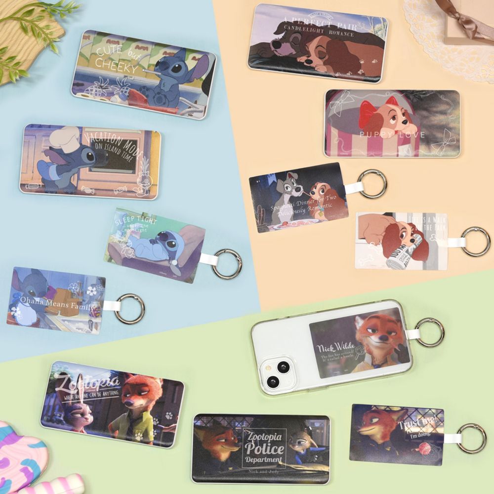 リトルレディ USB / USB Type-C 4000mAh リチウムイオンポリマー 充電器 2.1A DNG-167C