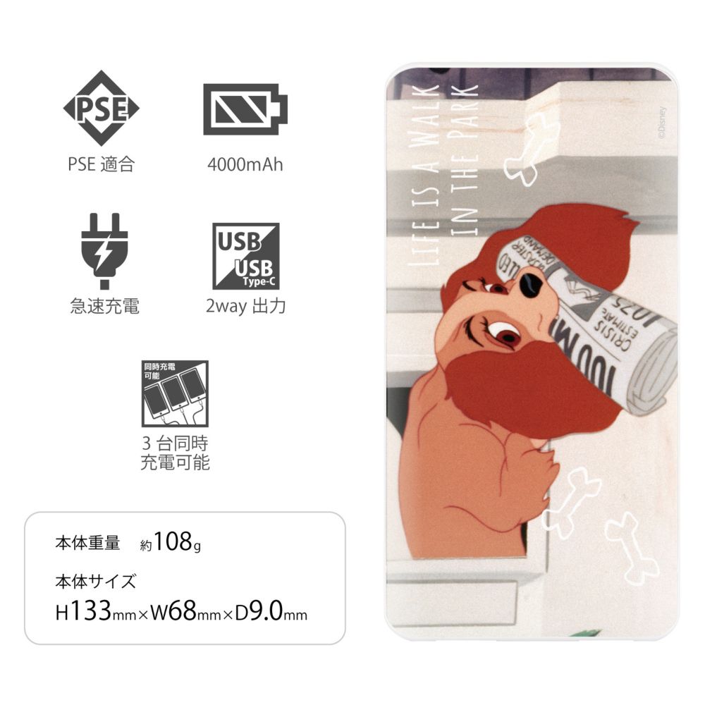 レディ USB / USB Type-C 4000mAh リチウムイオンポリマー 充電器 2.1A DNG-167D