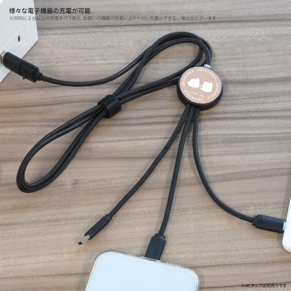 チップ＆デール フラッシュマルチ充電ケーブル DNG-180CD
