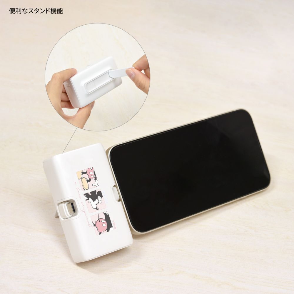ミッキーマウス Lightning / Type-C コネクタ付き リチウムイオン充電器 4000mAh DNG-219MK