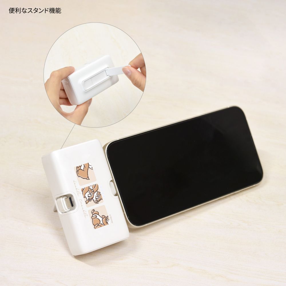 チップ＆デール Lightning / Type-C コネクタ付き リチウムイオン充電器 4000mAh DNG-219CD