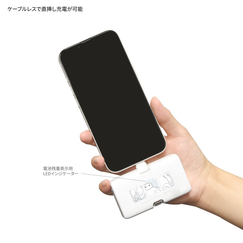 ベイマックス Lightning / Type-C コネクタ付き リチウムイオン充電器 4000mAh DNG-219BX