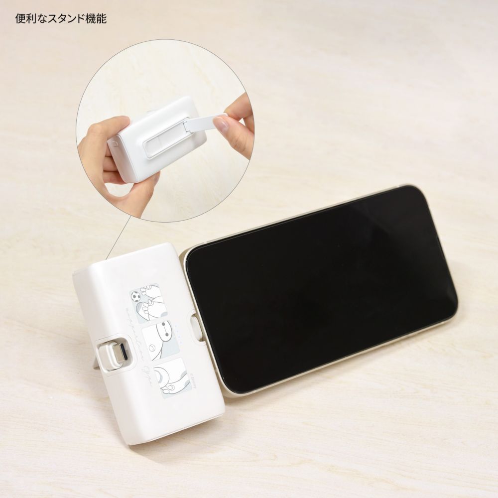 ベイマックス Lightning / Type-C コネクタ付き リチウムイオン充電器 4000mAh DNG-219BX