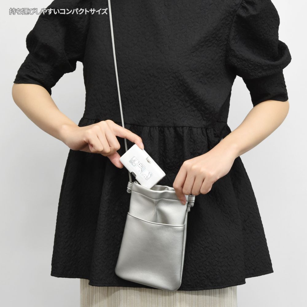 ベイマックス Lightning / Type-C コネクタ付き リチウムイオン充電器 4000mAh DNG-219BX