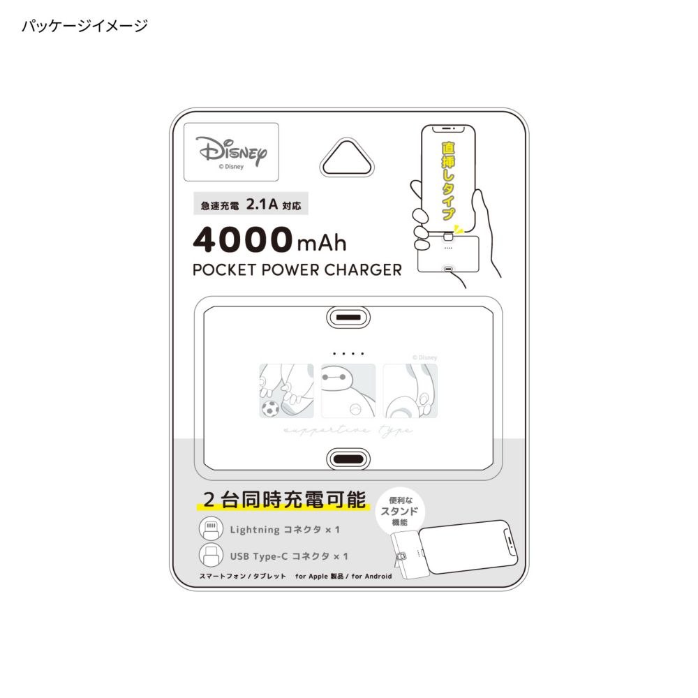 ベイマックス Lightning / Type-C コネクタ付き リチウムイオン充電器 4000mAh DNG-219BX
