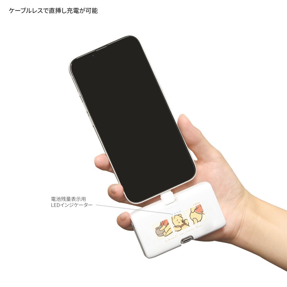 くまのプーさん Lightning / Type-C コネクタ付き リチウムイオン充電器 4000mAh DNG-219PO