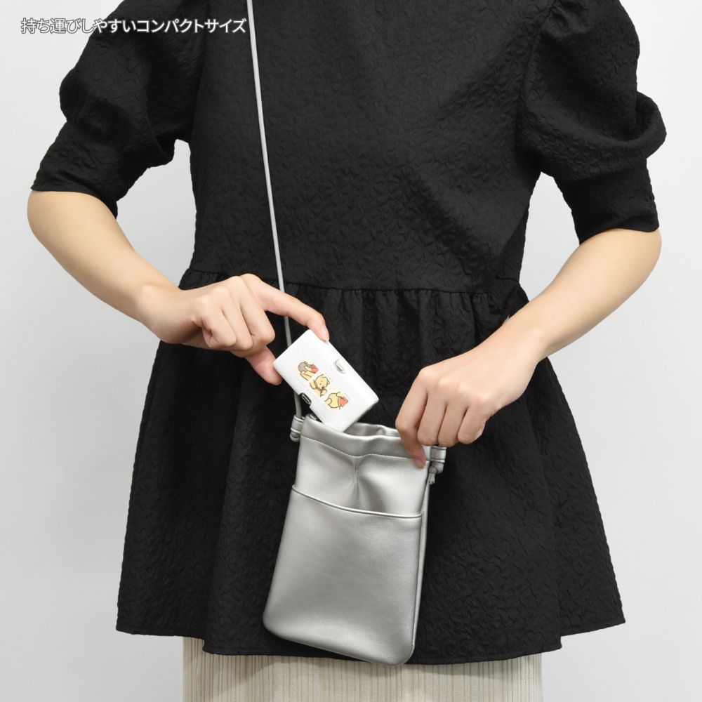 くまのプーさん Lightning / Type-C コネクタ付き リチウムイオン充電器 4000mAh DNG-219PO