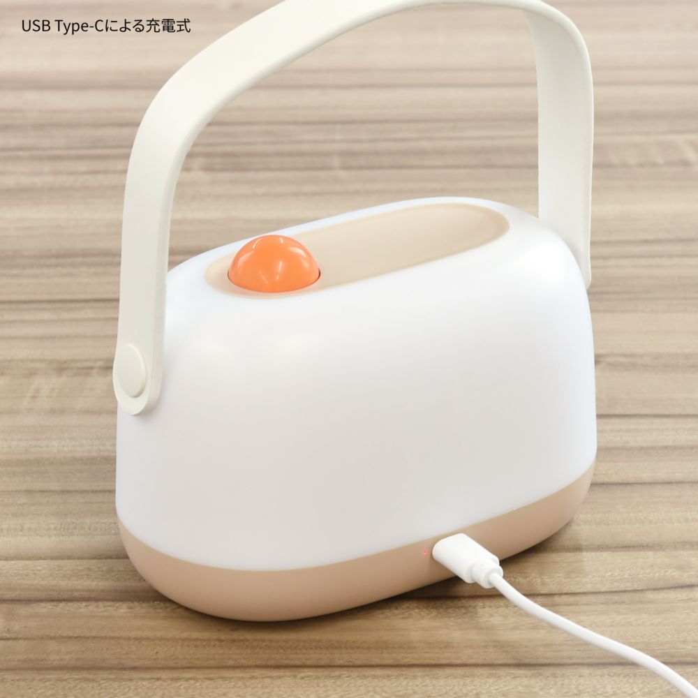 くまのプーさん LED ルームライト DNG-251PO