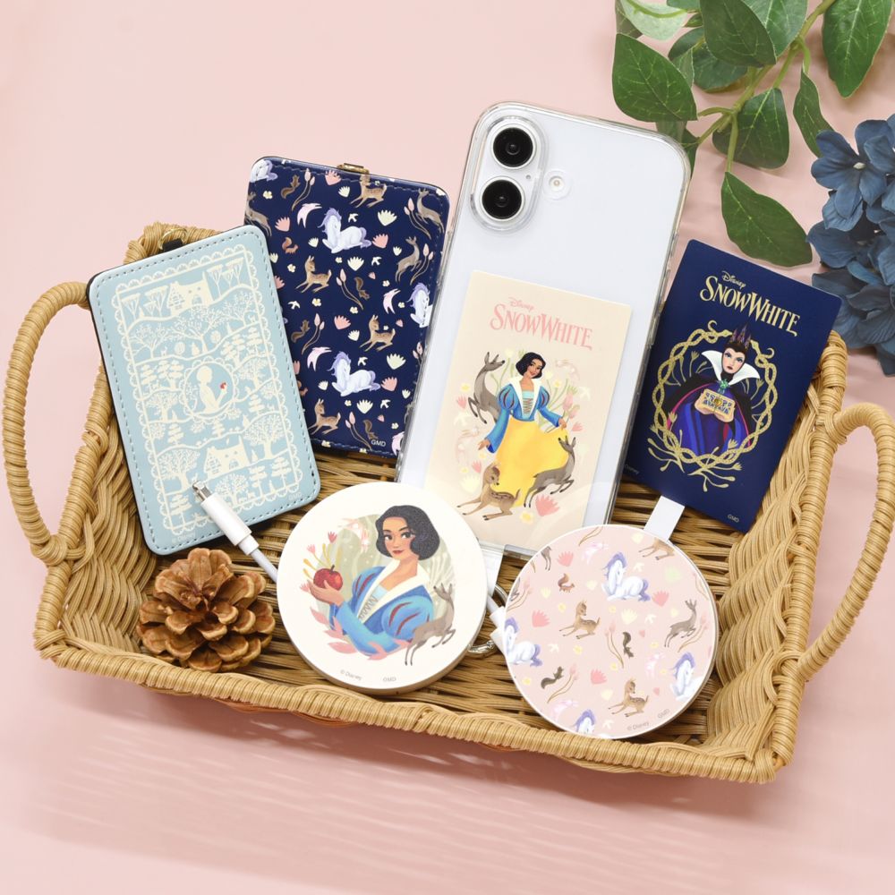 白雪姫 ICカードケース DNG-261A