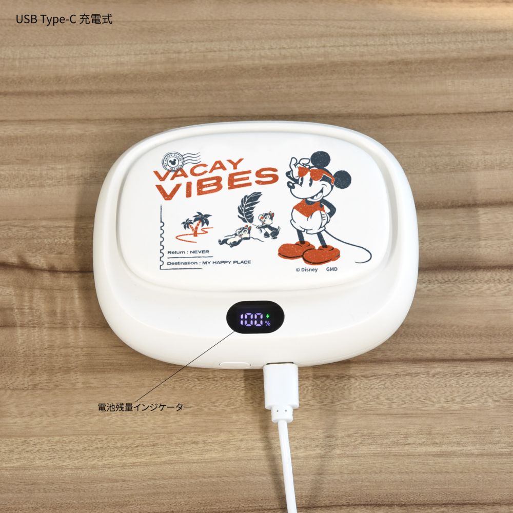 ミッキーマウス USB充電式 3WAYクールファン DNG-270MK