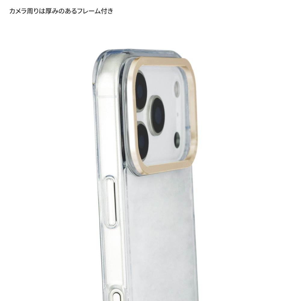 くまのプーさん Camera Frame iPhone17 Pro 対応 ケース DNG-304PO