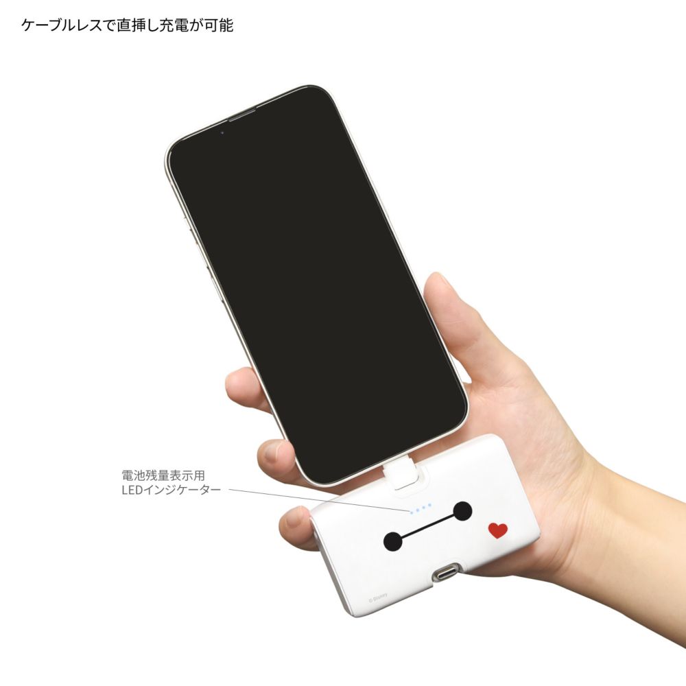 ベイマックス Lightning / Type-C コネクタ付き リチウムイオン充電器 4000mAh DNG-322BX