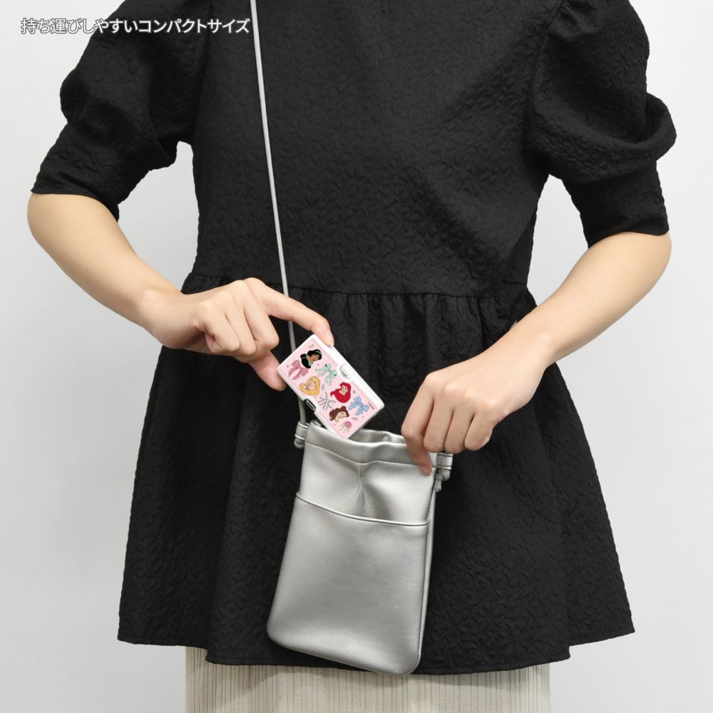 ディズニープリンセス Lightning / Type-C コネクタ付き リチウムイオン充電器 4000mAh DNG-322PR