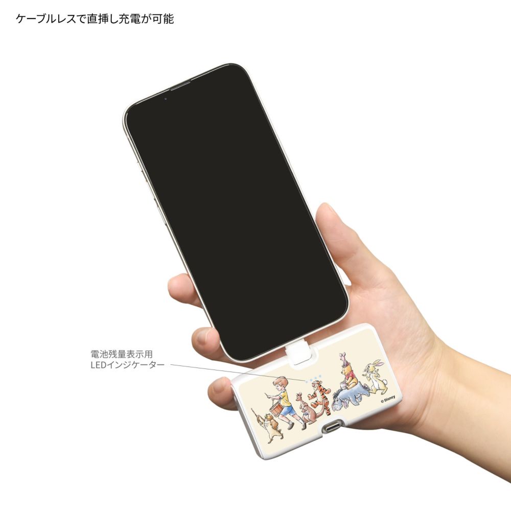 くまのプーさん Lightning / Type-C コネクタ付き リチウムイオン充電器 4000mAh DNG-322PO