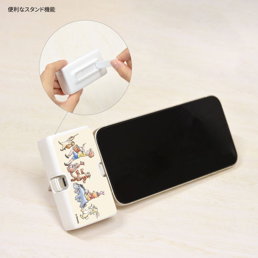 くまのプーさん Lightning / Type-C コネクタ付き リチウムイオン充電器 4000mAh DNG-322PO