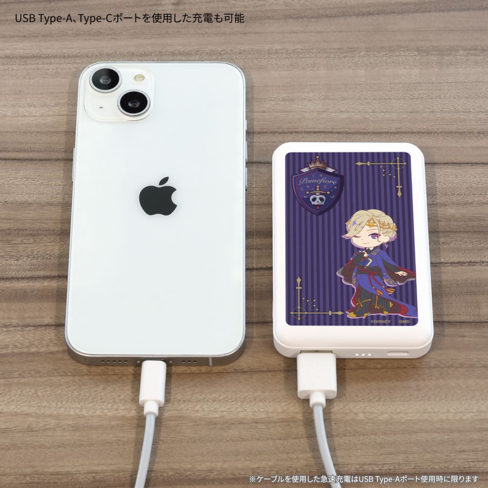 【予約商品】ツイステッドワンダーランド ヴィル・シェーンハイト MagSafe 対応 ワイヤレス リチウム充電器 5000mAh DNG-329E