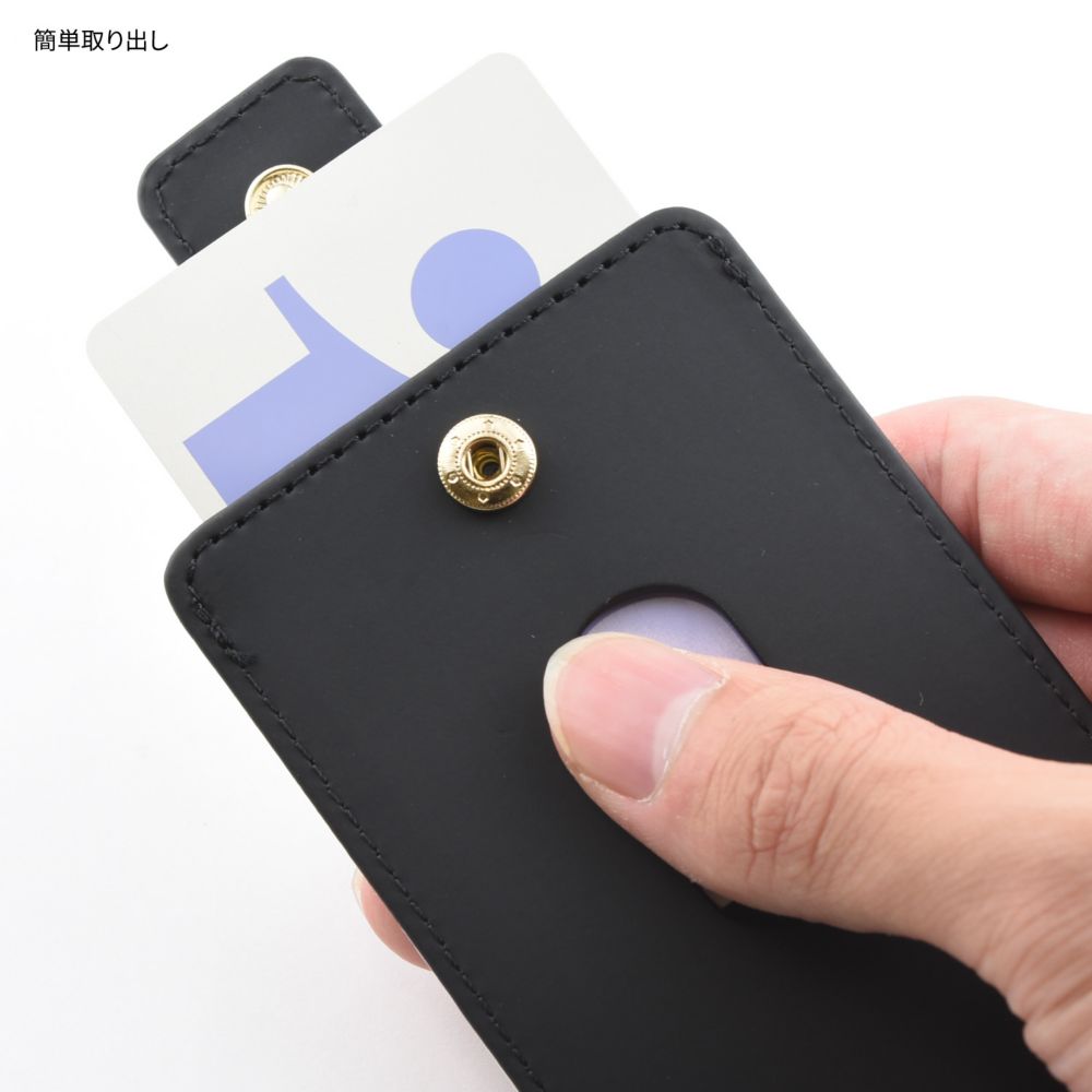 ツイステッドワンダーランド ヴィル・シェーンハイト ICカードケース DNG-330E