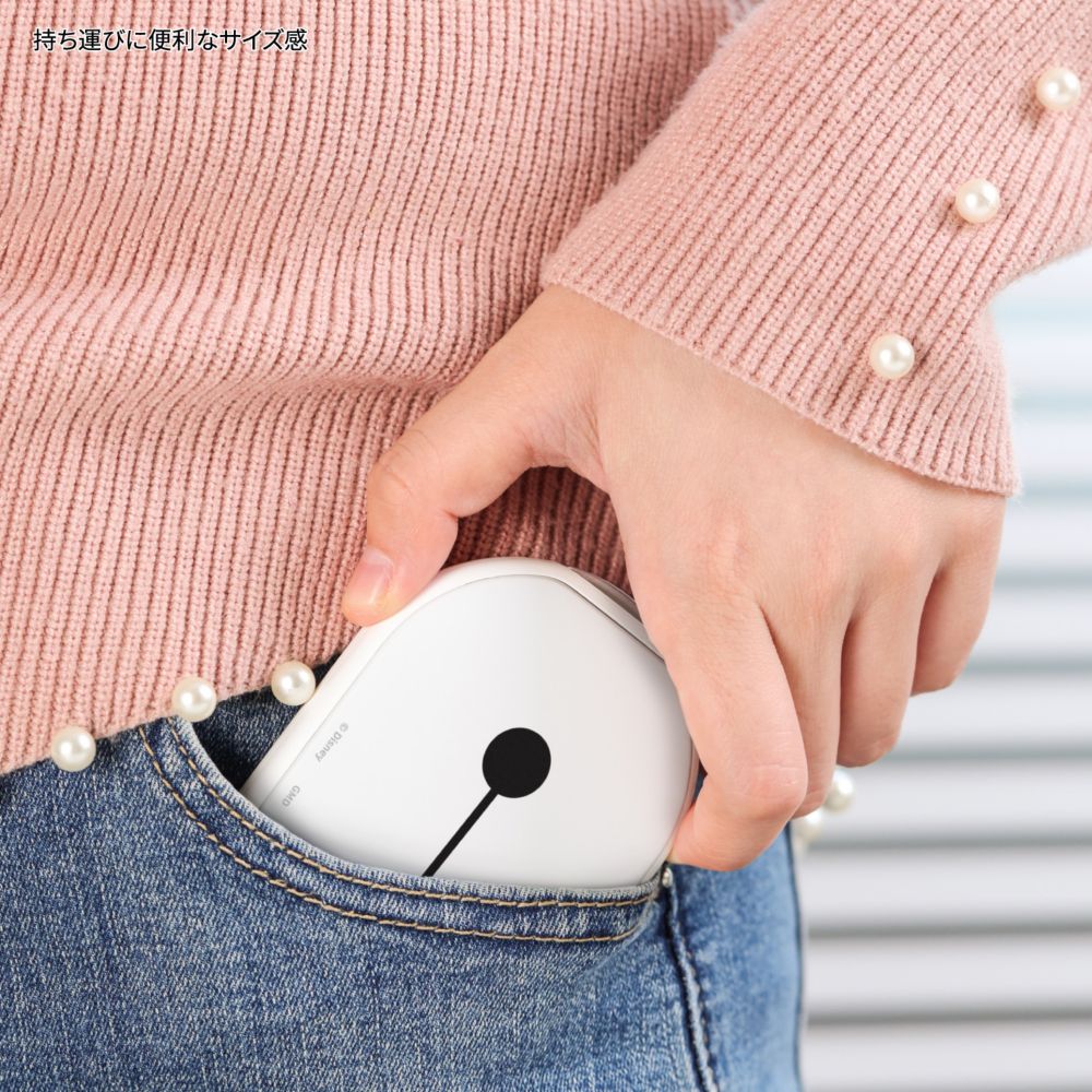 ベイマックス 充電式カイロ DNG-347BX