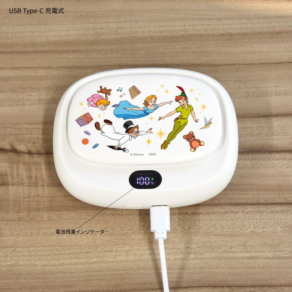 ピータ―・パン USB充電式 3WAYクールファン DNG-359PT