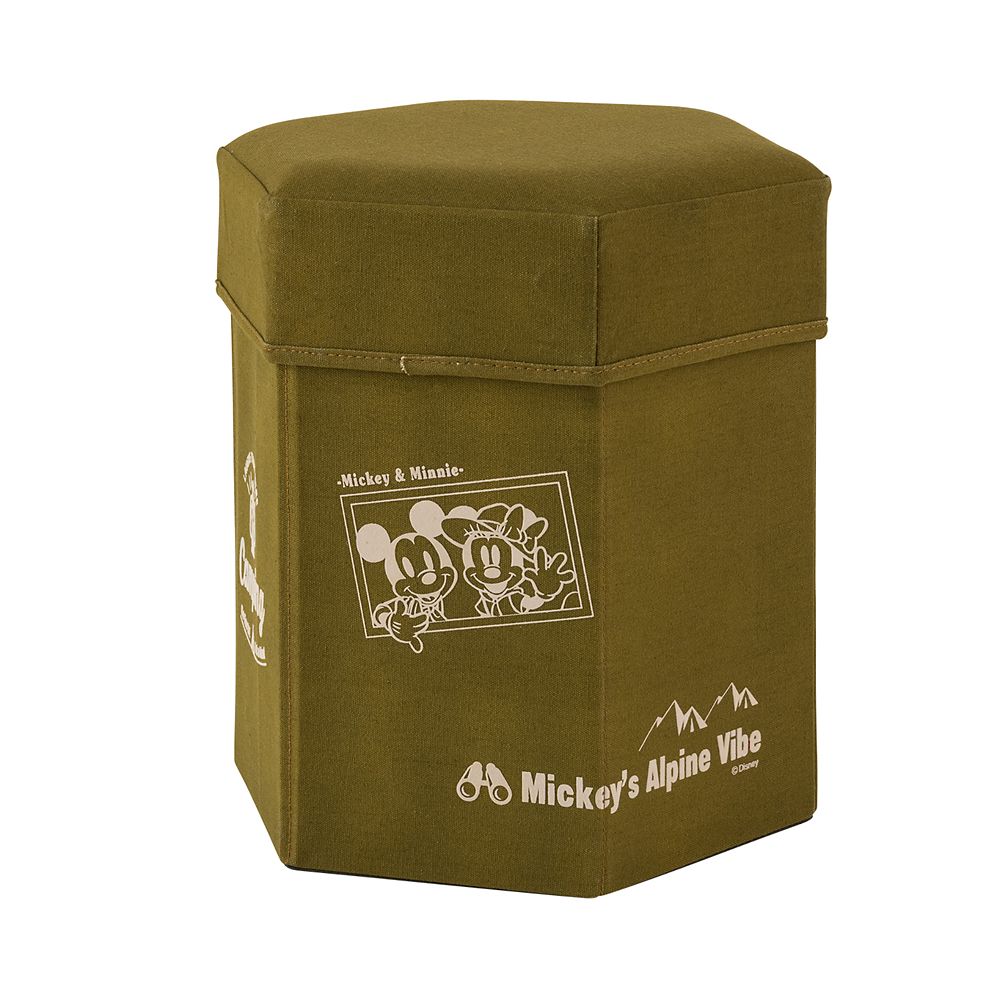 公式 ショップディズニー ミッキー ミニー 収納ボックス スツール グリーン