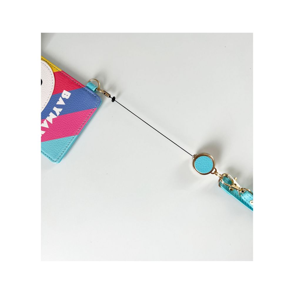 ディズニー ベイマックス パスケース ストライプ