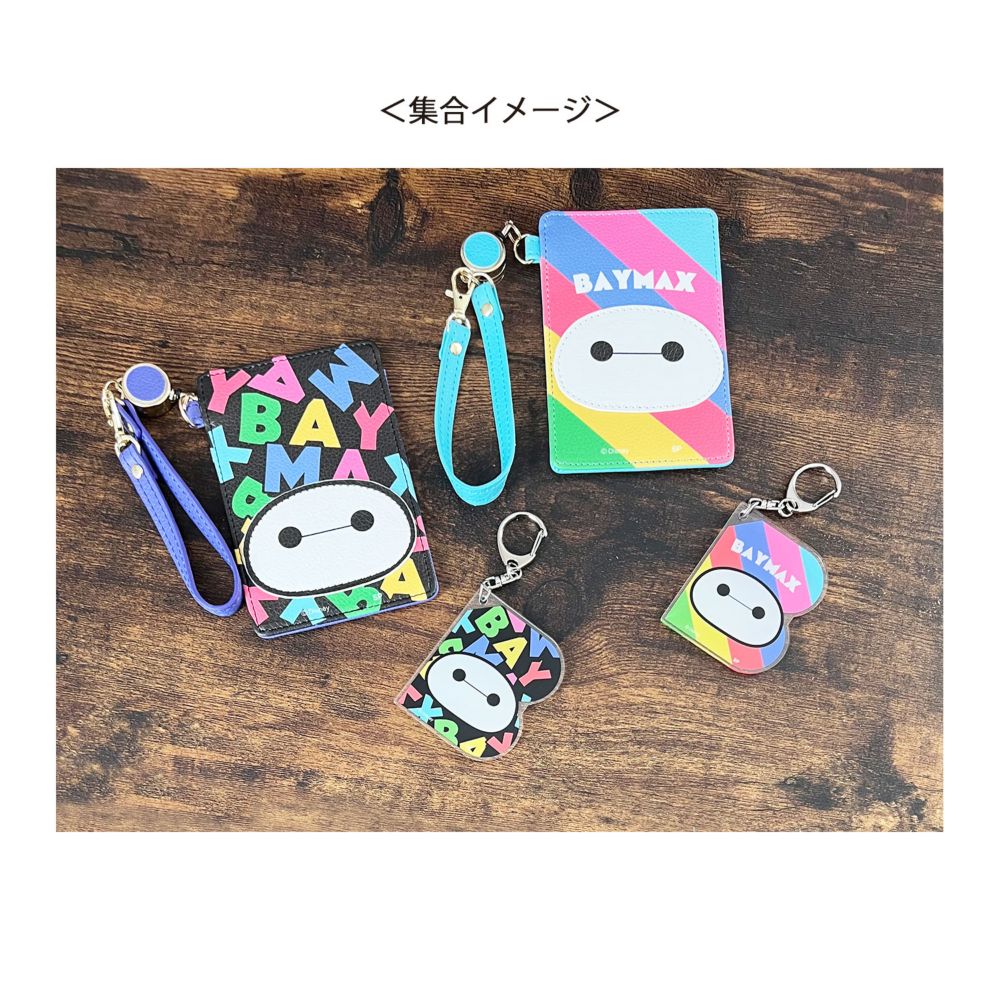 ディズニー ベイマックス パスケース アルファベット