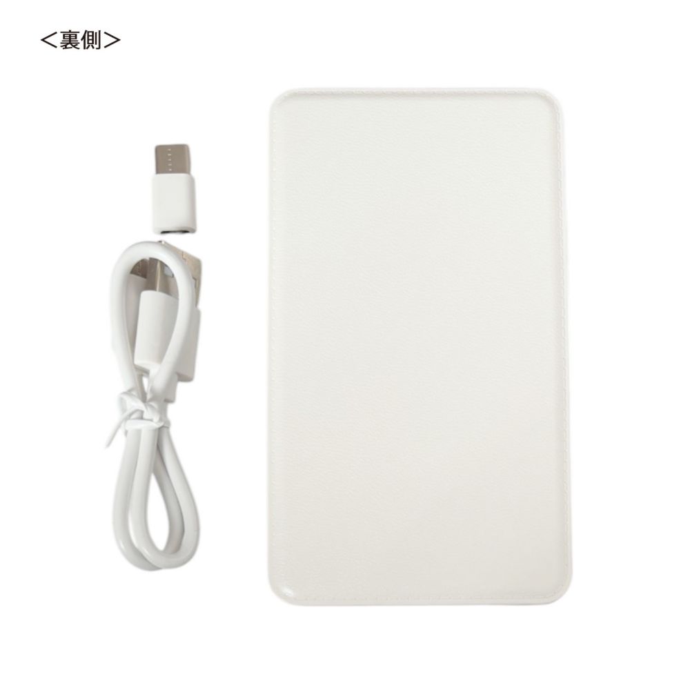 ディズニー フローズン アート コレクション BY 中川翔子／モバイルバッテリー／エルサ／アナ／オラフ