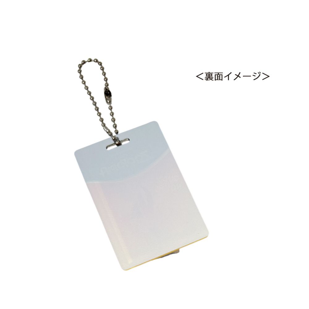 ディズニー ズートピア ブラインドブリスター風アクリルキーチェーン BOXセット（全6種）