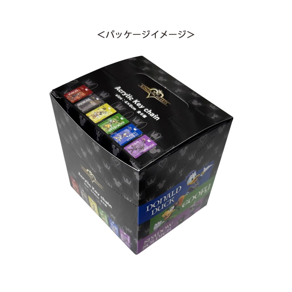 ディズニー キングダムハーツ ブラインドブリスター風アクリルキーチェーン 単品（全6種）
