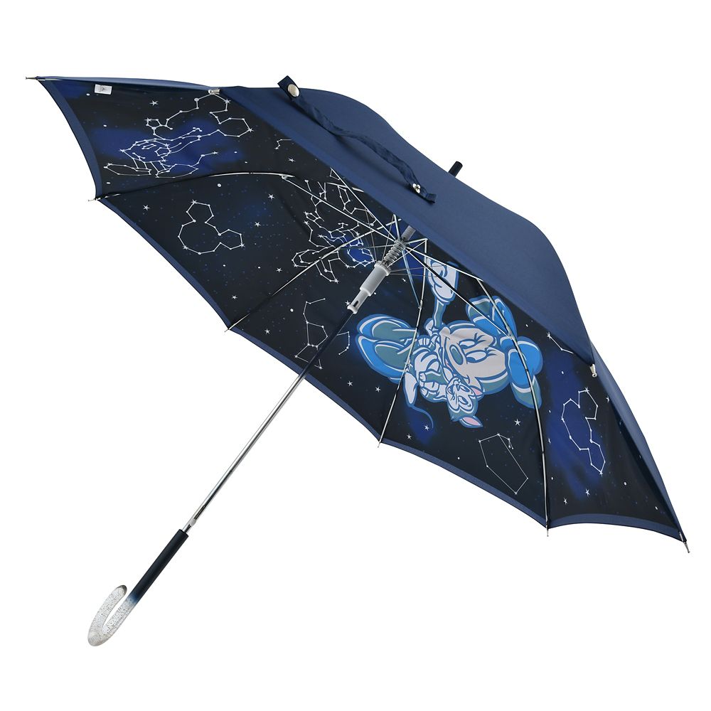 公式 ショップディズニー 傘 レイングッズ