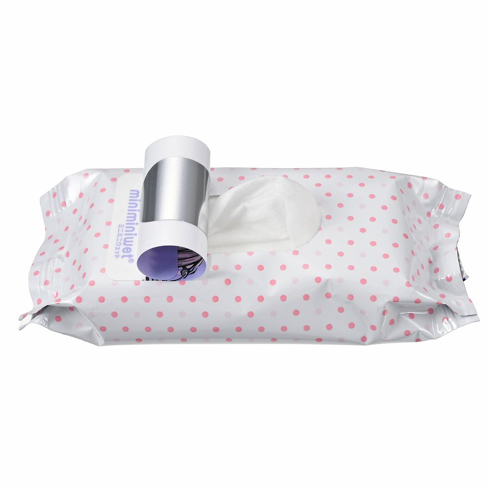 公式 ショップディズニー シンデレラ オーロラ姫 ラプンツェル ウェットティッシュ ミニ プリンセスドリーム 清潔 快適