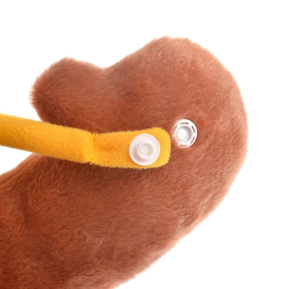 公式 ショップディズニー チップ ぬいぐるみ Big パペット