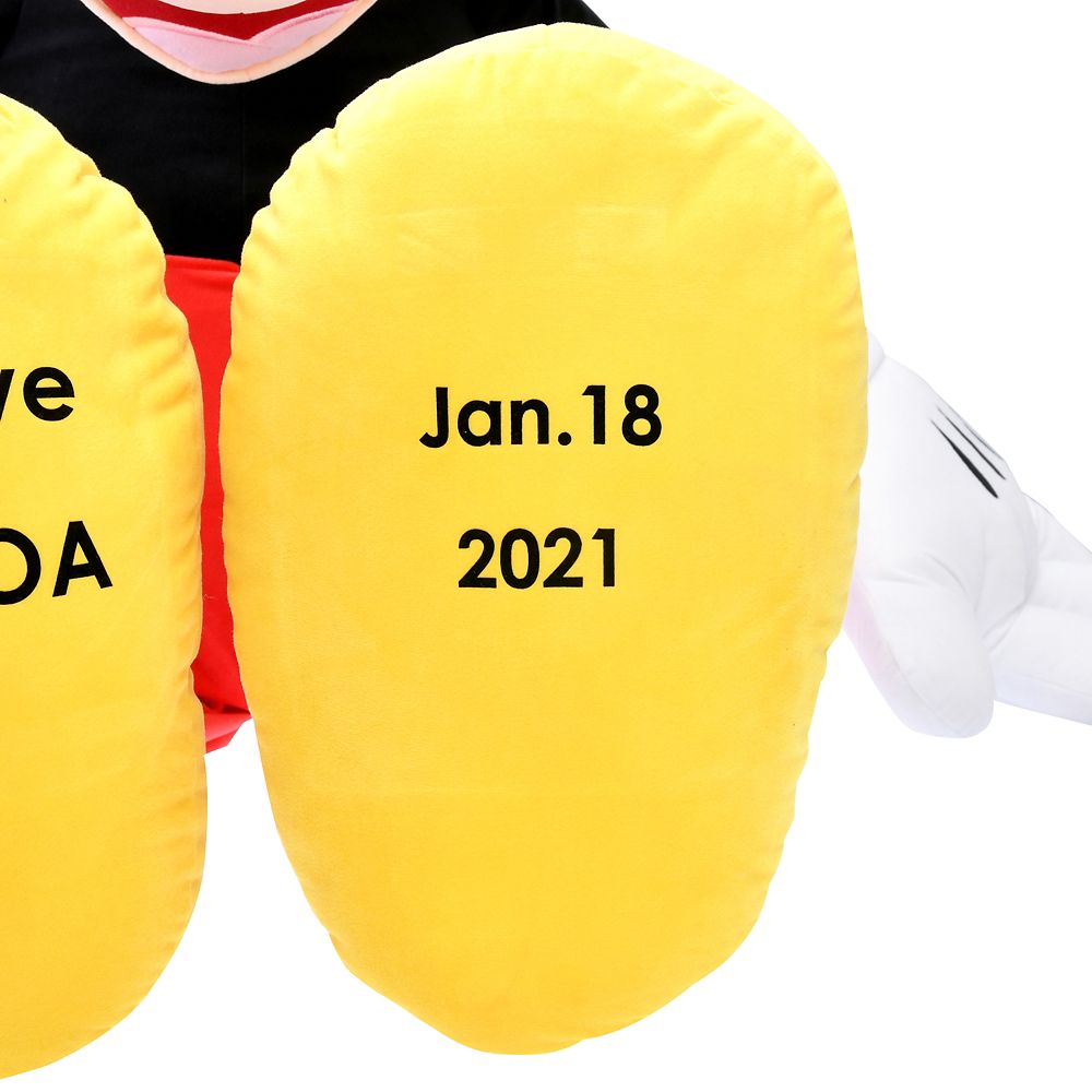 【D-Made】名入れ ぬいぐるみ(XL) ミッキー