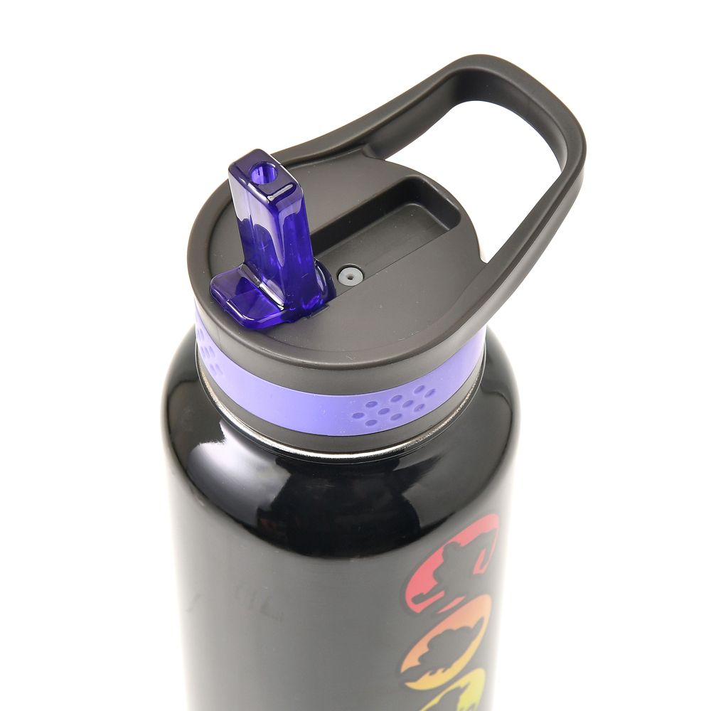 公式 ショップディズニー ディズニー ピクサーキャラクター 水筒 ウォーターボトル Disney Pride Collection