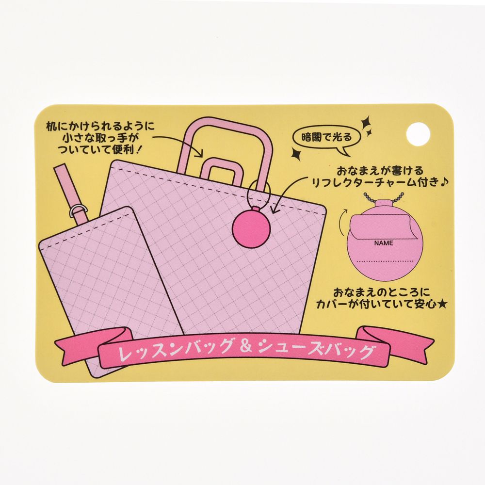 公式 ショップディズニー ディズニープリンセス レッスンバッグ シューズバッグ セット リボンフレーム Back To School