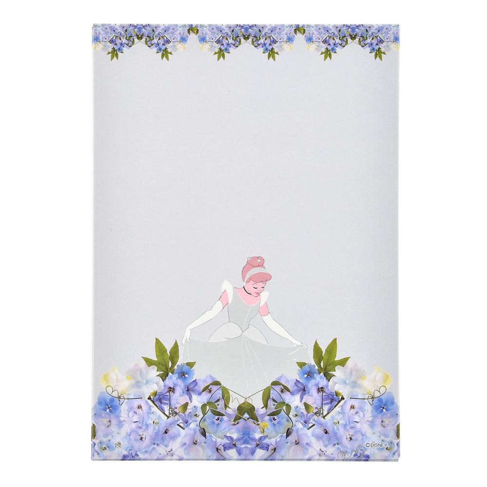 遵守する 系譜 ランタン シンデレラ レター セット 餌 アレンジ シニス