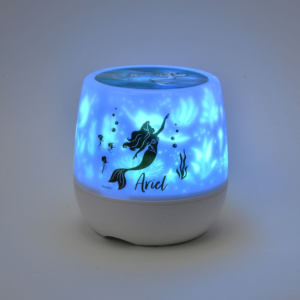 アリエルフランダーセバスチャン ルームプロジェクションUnder