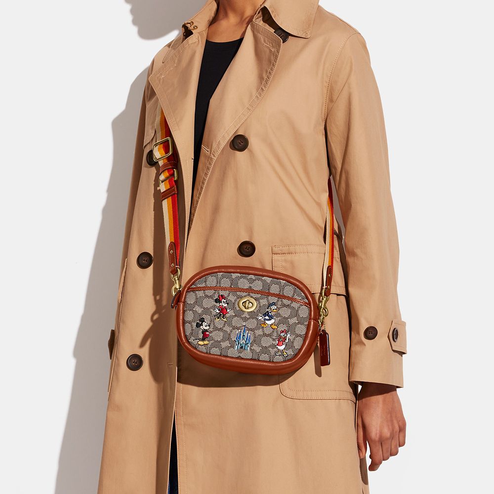 公式】ディズニーストア.jp | 【COACH】ミッキー＆フレンズ ショルダー