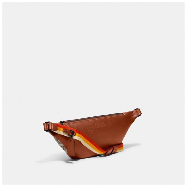専用です COACH Disny ミッキー ボディバッグ