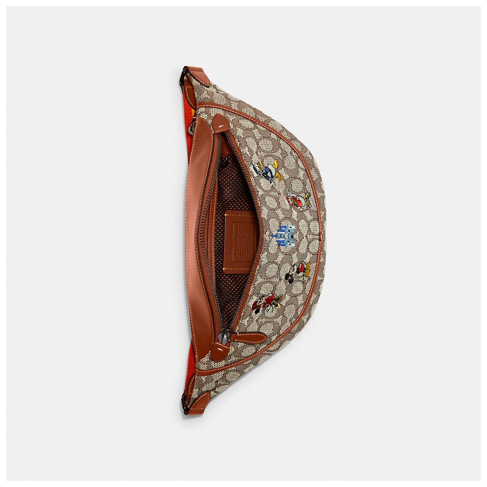 公式】ディズニーストア.jp | 【COACH】ミッキー＆フレンズ ボディ