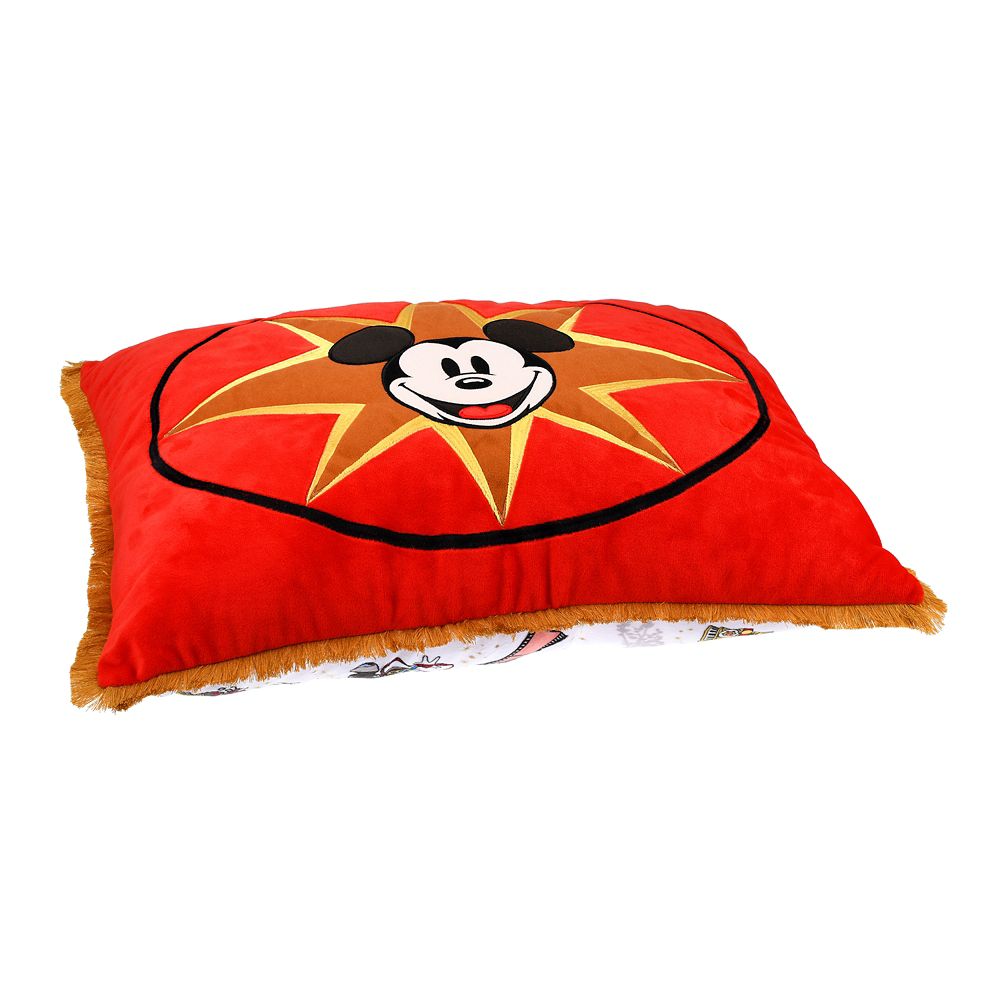 公式 ショップディズニー ディズニーキャラクター クッション Disney Store Japan 30th