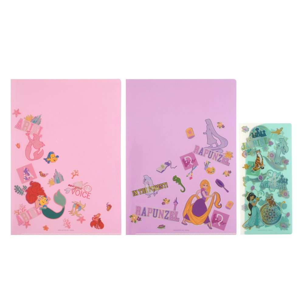 公式 ショップディズニー ディズニーキャラクター クリアファイル チケットファイル Nostalgic Princess
