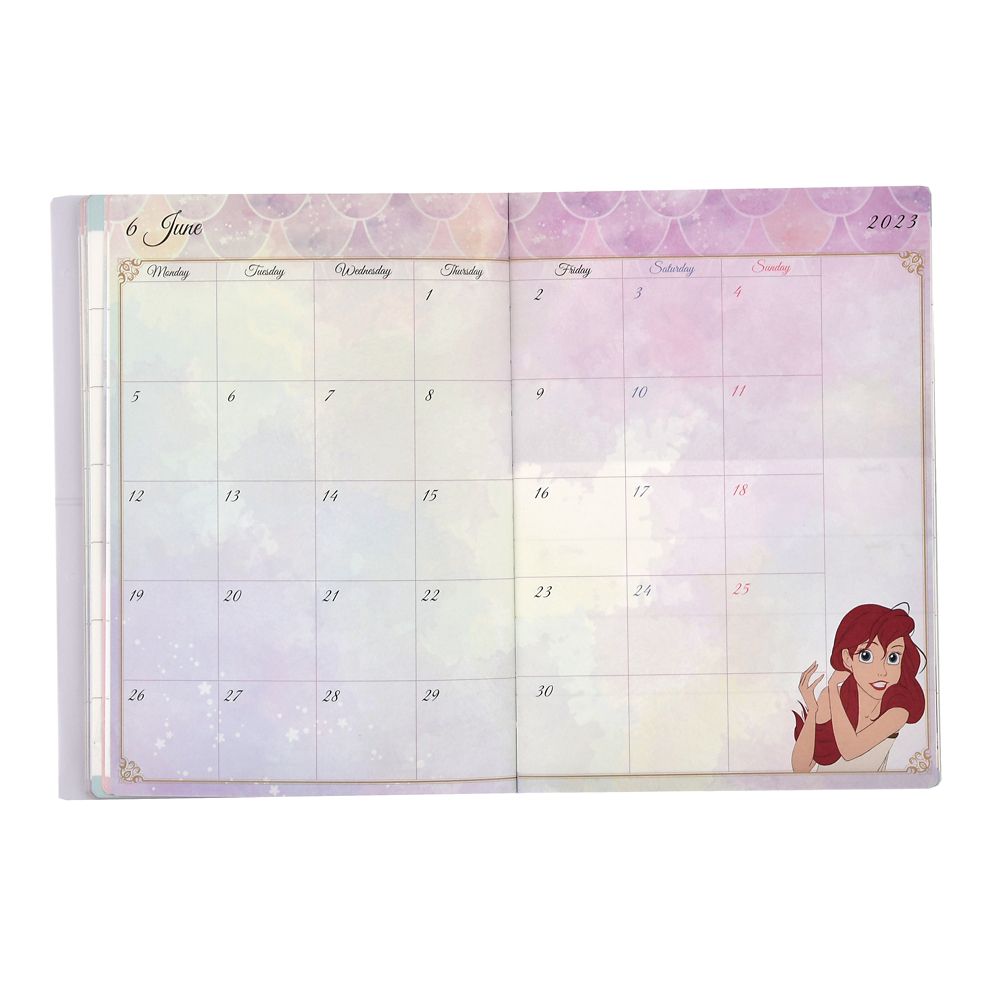 公式 ショップディズニー リトル マーメイド 手帳 スケジュール帳 23 B6 メタリック Calendars Organizers