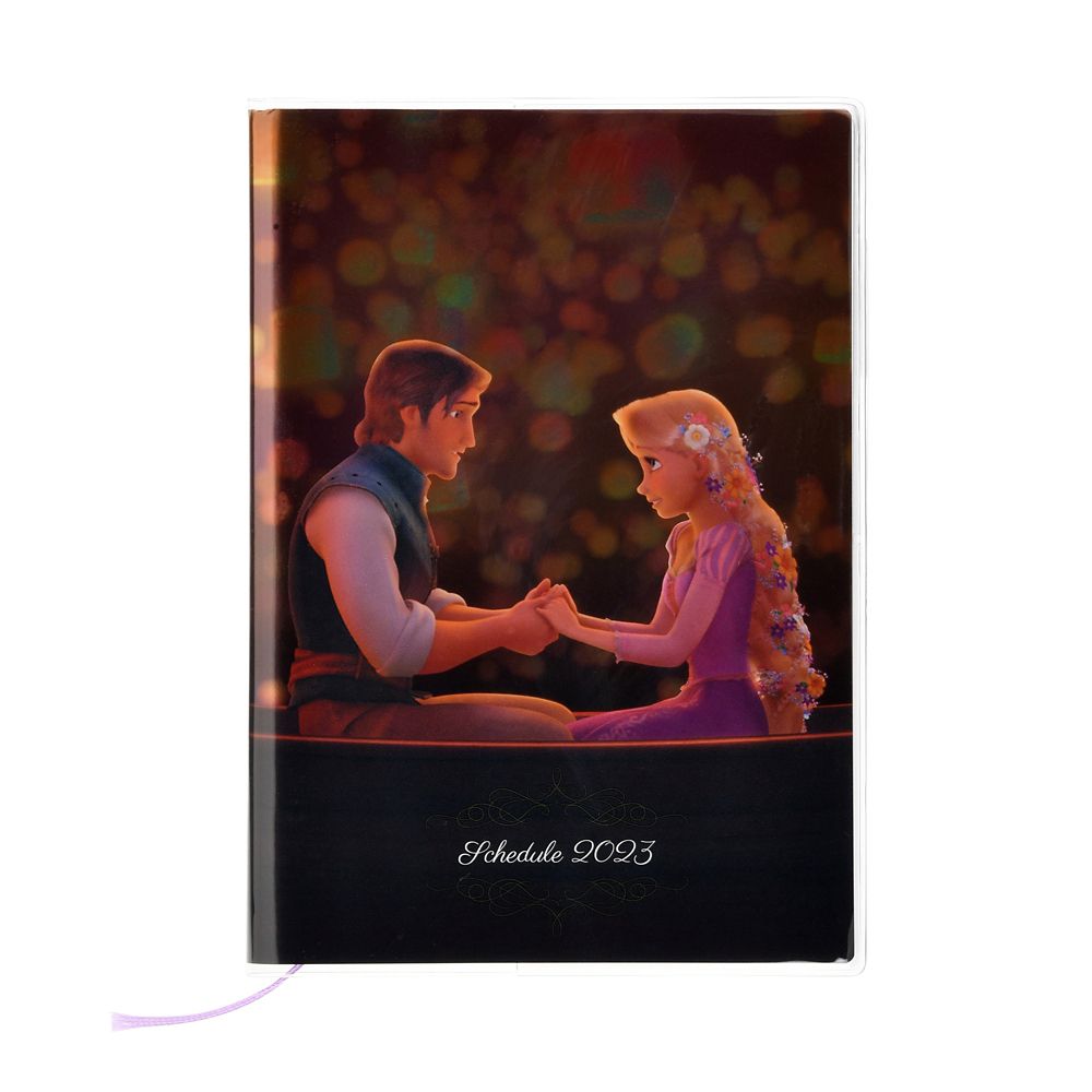 公式 ショップディズニー 塔の上のラプンツェル 手帳 スケジュール帳 23 B6 メタリック Calendars Organizers