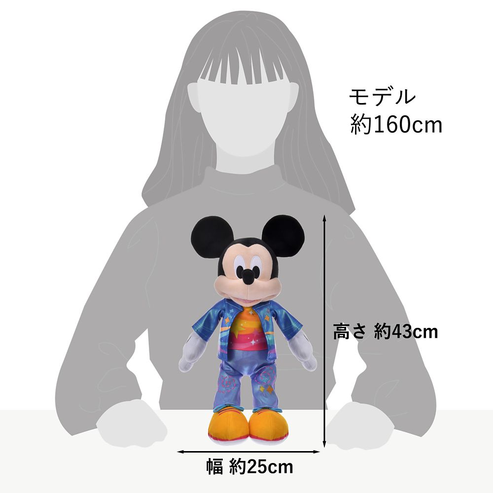 ミッキー ぬいぐるみ DISNEYLAND RESORT 70TH CELEBRATION