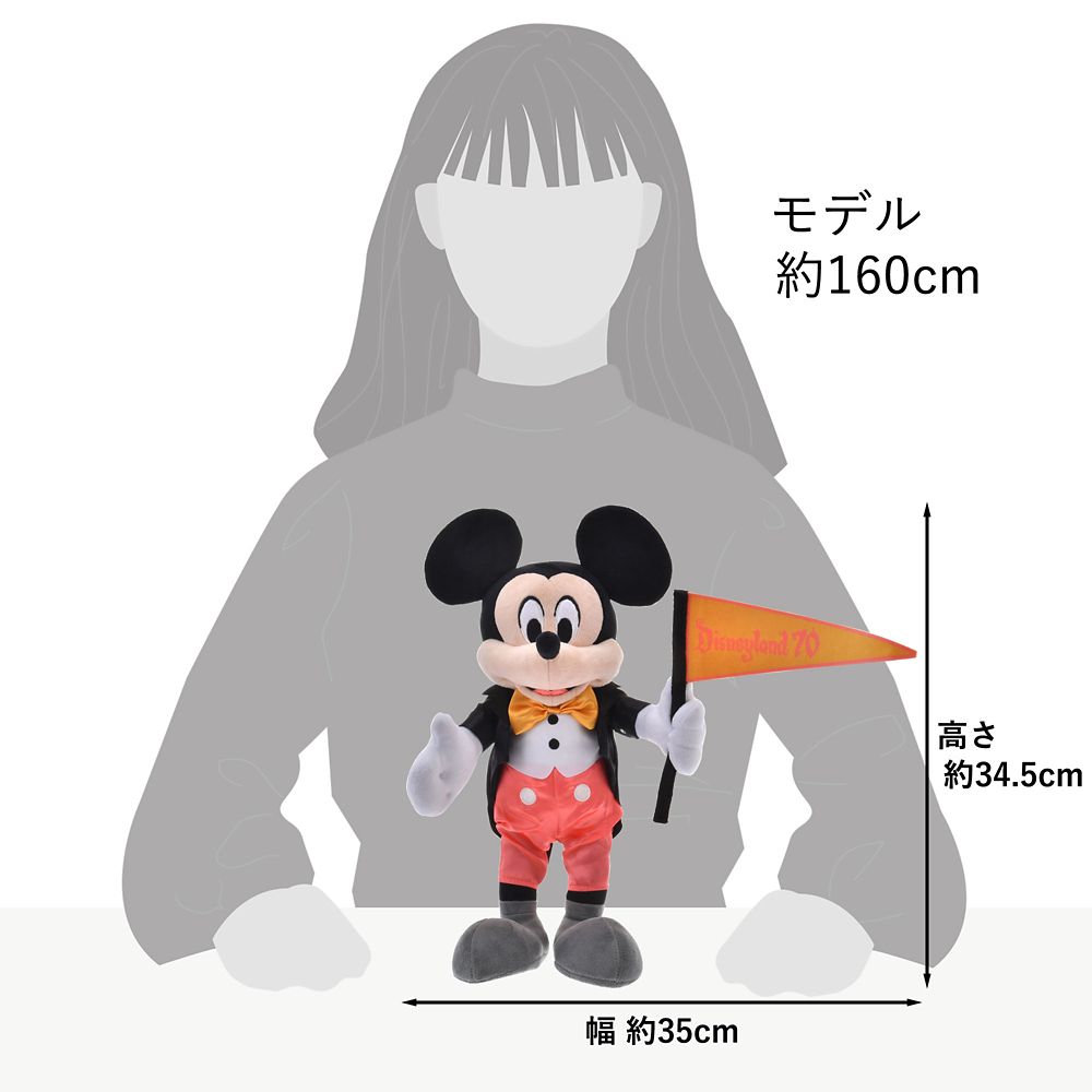 ミッキー ぬいぐるみ フラッグ DISNEYLAND RESORT 70TH CELEBRATION